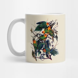 John J. Audubon Carolina Parakeet Mug